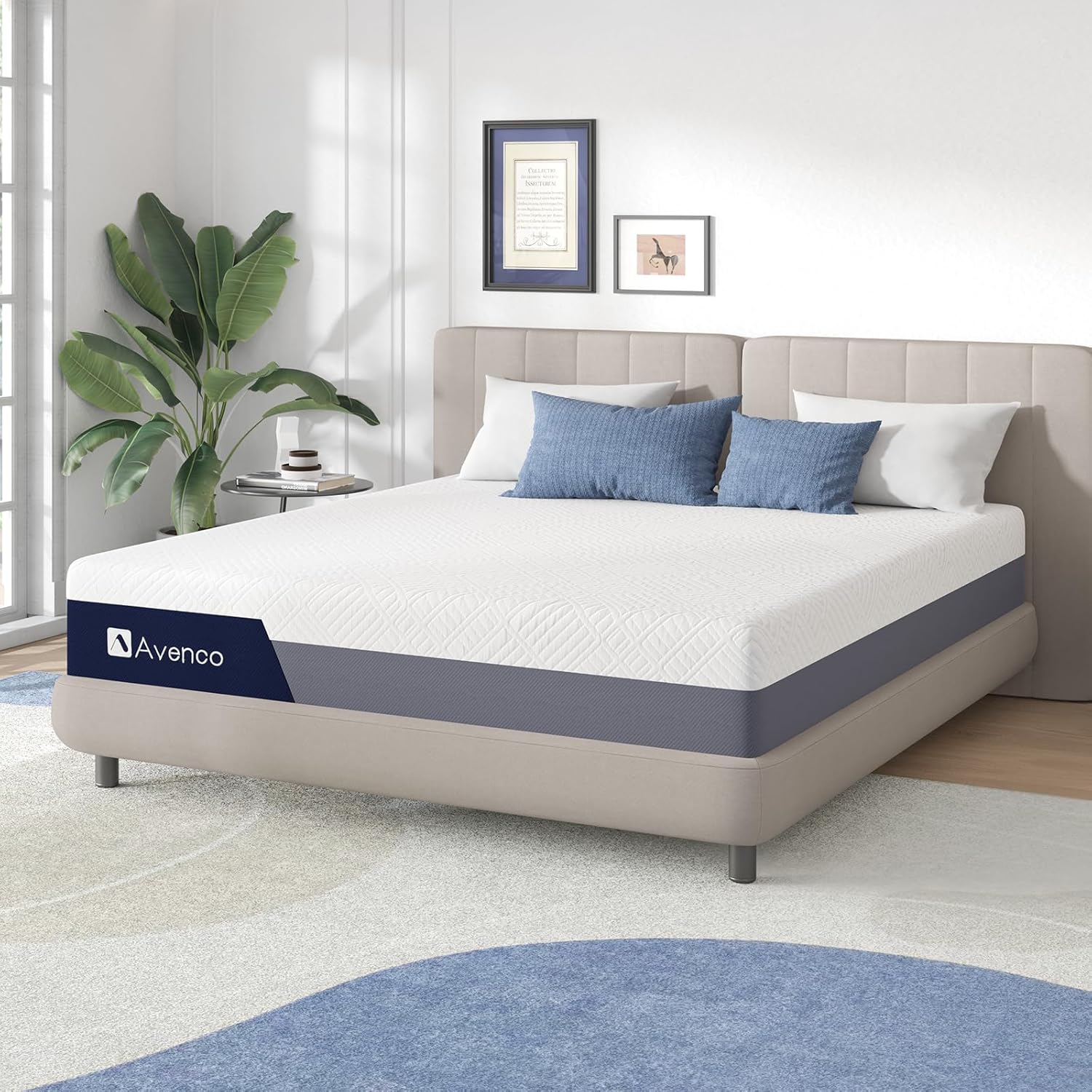 Kasur Busa Memori Queen Kasur  - Memory Foam Mattress In A Box Queen ulasan dan harga